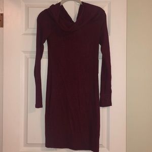 Warm Express cowl neck dress